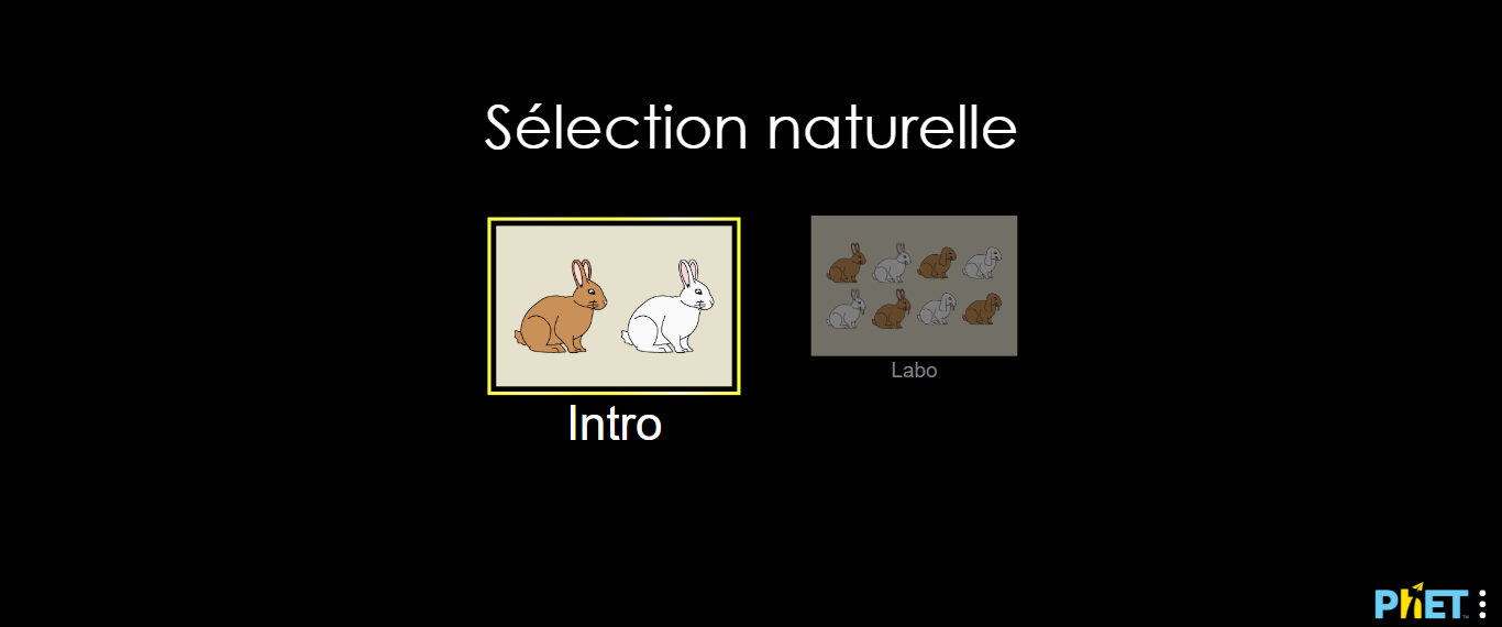 Labo de Physique